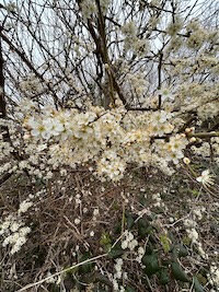 IMG_6959_200.jpg