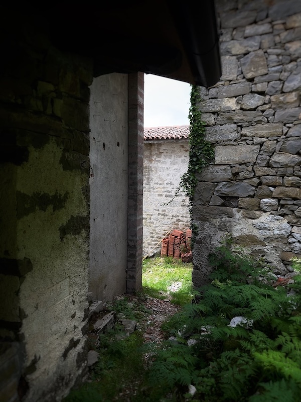photo_walk.jpg